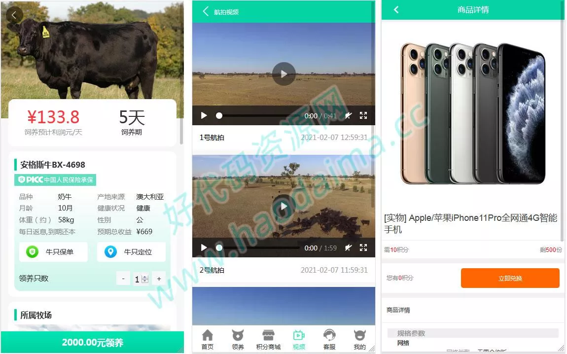 区块链金融理财源码【互联网畜牧业养牛平台】带积分商城+抽奖+会员特权(有搭建教程)
