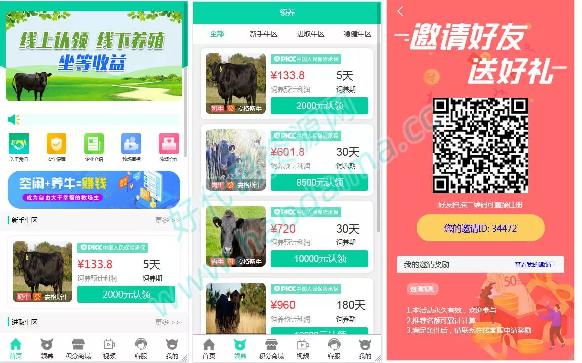 区块链金融理财源码【互联网畜牧业养牛平台】带积分商城+抽奖+会员特权(有搭建教程)